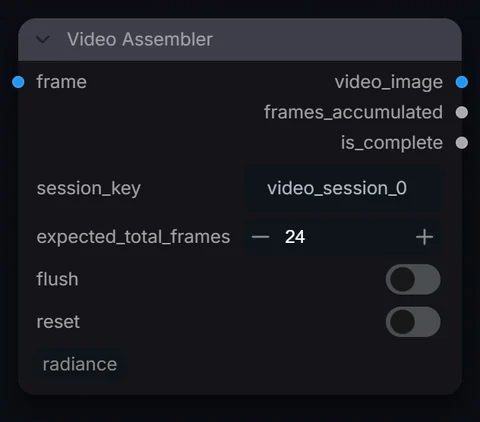 Video Assembler node in Radiance 3.5.0, default interface